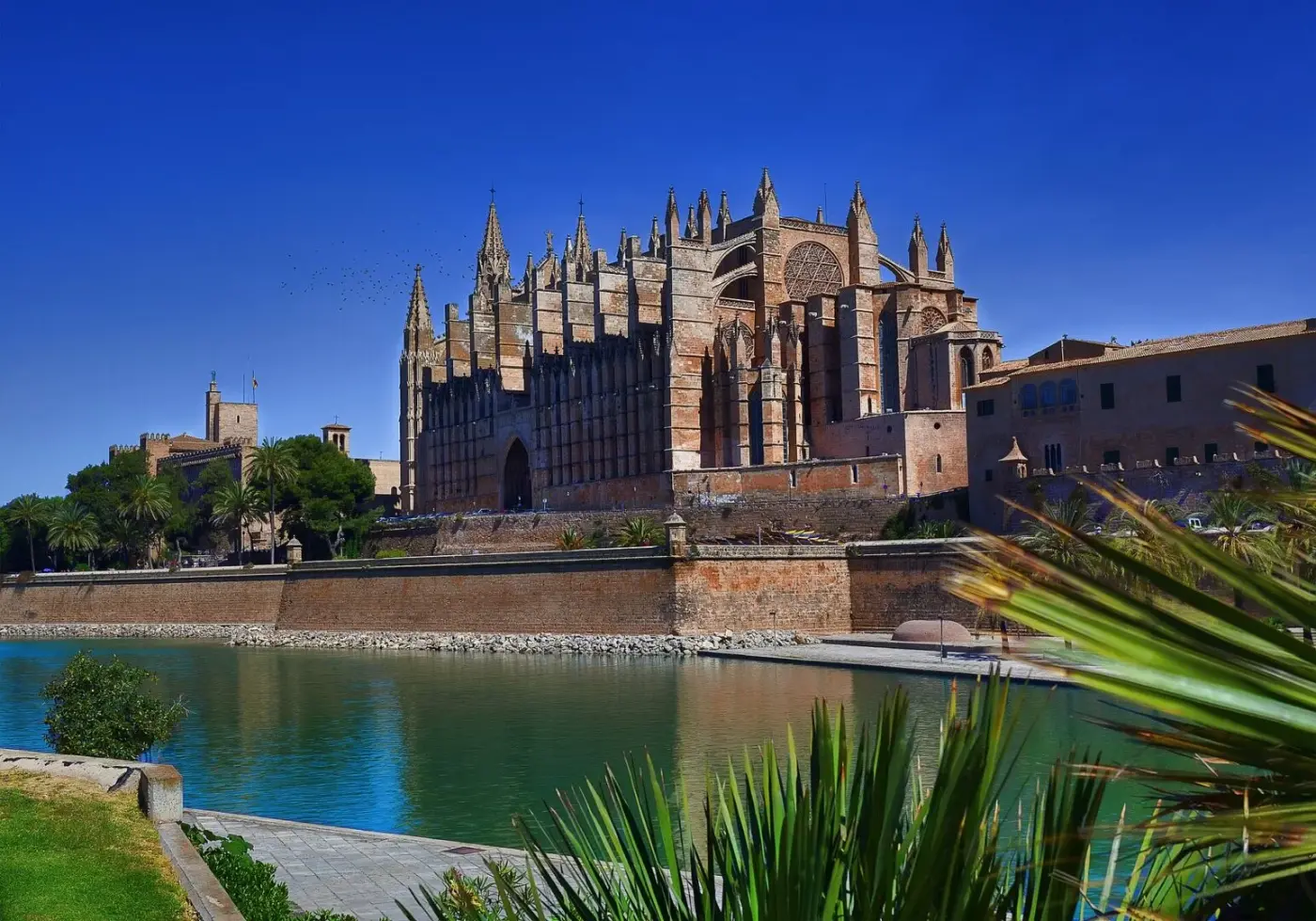 BAHÍA DE PALMA Y CALVIÀ